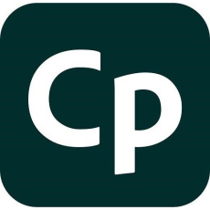 Captivate for teams MP ML GOV NEW 1 User, 12 Months, Level 2, 10 - 49 Lic