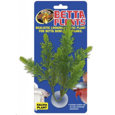 Rostl.akv.ZMD Betta Plant Salvia Rostl.akv.ZMD Betta Plant Salvia