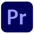 Premiere Pro for teams MP ML GOV RNW 1 User, 12 Months, Level 2, 10-49 Lic