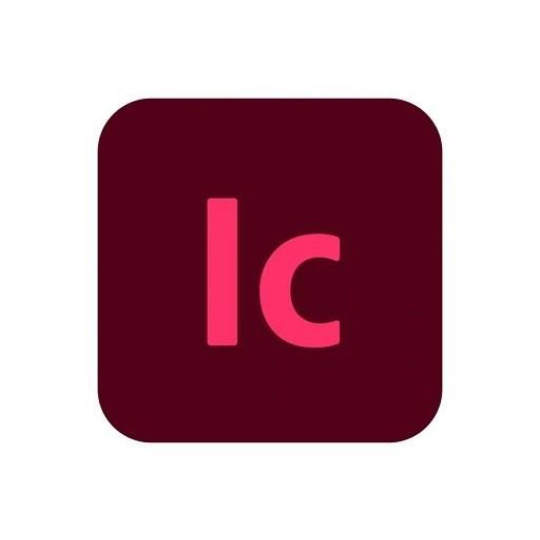 InCopy for teams MP ML (+CZ) Commercial 1 User, 12 Months, Level 2, 10-49 Lic