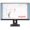 LENOVO LCD E24-40 - 23.8",IPS,16:9,1920x1080,100Hz,250cd/m2,1300:1,4ms(GtG),VGA,DP,HDMI,Repro,Pivot