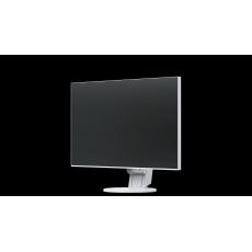 EIZO MT IPS LCD LED 24" EV2451-WT,1920x1080, 178°/178°, 1000:1,250cd,  1x DVI-D, D/SUB15, DP, HDMI, 2xUSB,  audio,WT