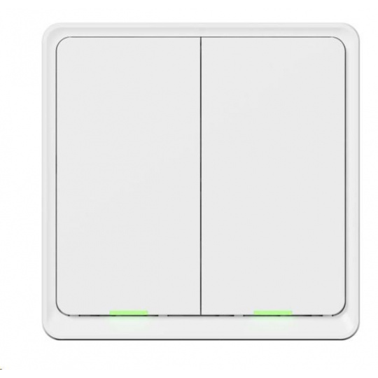 Tesla Smart Switch Dual Battery