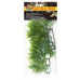 Rost.ter.ZMD Madagascar Bamboo S