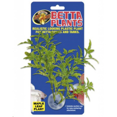 Rostl.akv.ZMD Betta Plant Maple Leaf
